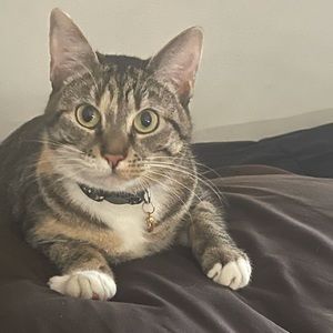 Meet your Posher, Tatiana